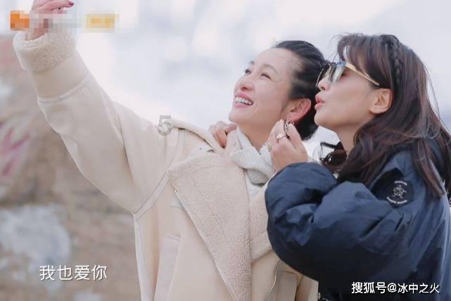 小长颈鹿逃离